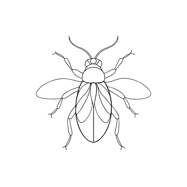 Printable one line drawing of bug coloring page