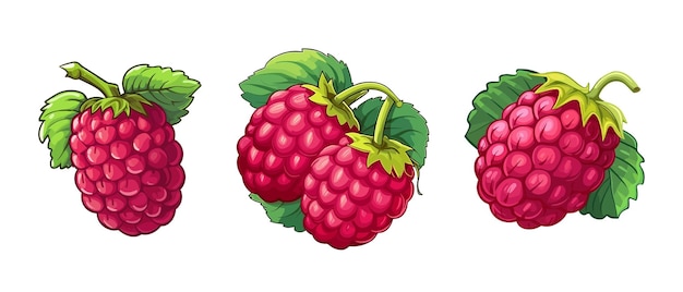Raspb set