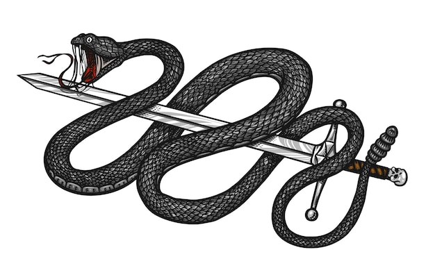 Rattlesnake in vintage style Aggressive Viper Snake Engraved hand drawn in old sketch for sticker and tattoo
