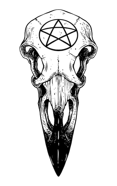 Raven skull with pentagram. vector illustration