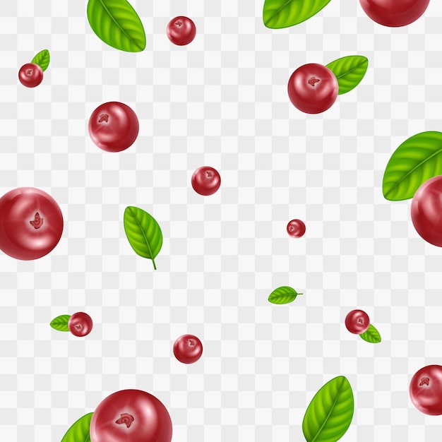 Realistic Detailed 3d Red Cranberry Berries Seamless Pattern Background Vector