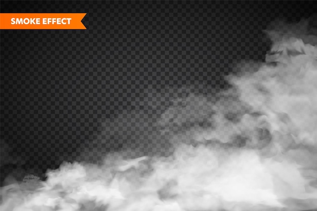 realistic fog mist effect smoke isolated on transparent background vector vapor in air steam flow