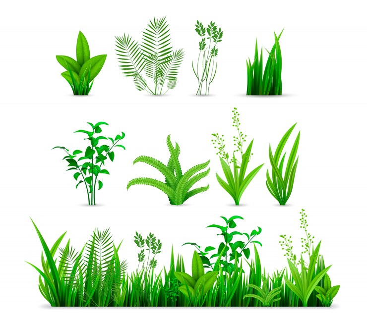 Vektör realistic spring grass set collection
