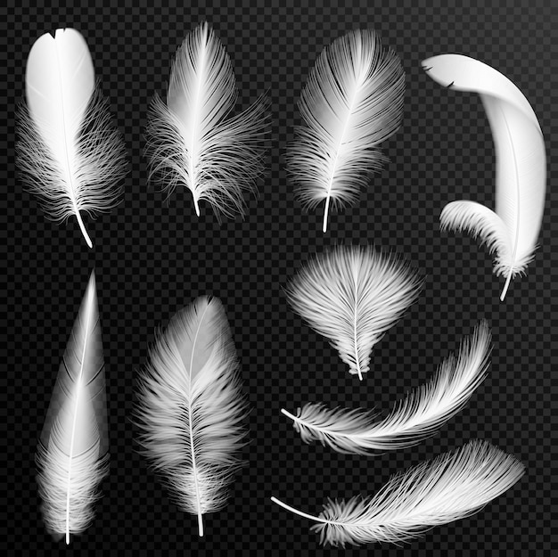 realistic white feathers collection. set of fluffy feathers, isolated on transparent background