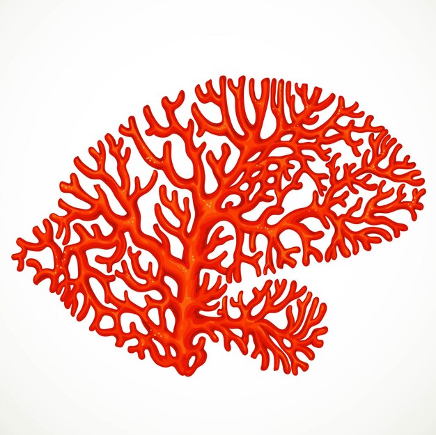 Red corals sea life object 2 isolated on white background
