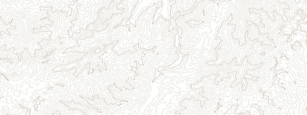 Retro topographic map Geographic contour map Abstract outline grid vector illustration