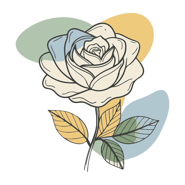 rose line art vector illustration with color blobs style