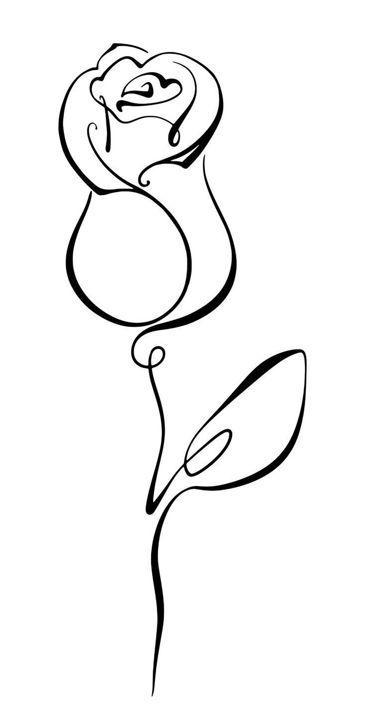 Vektör rose line print black and white flower drawing line art bud illustration logo monochrome