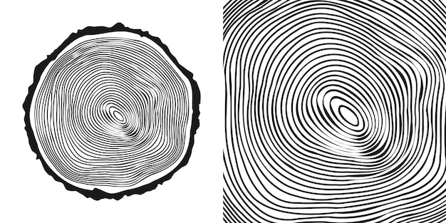 Round tree trunk cut sawn pine or oak slice saw cut timber wood wooden texture with tree rings hand
