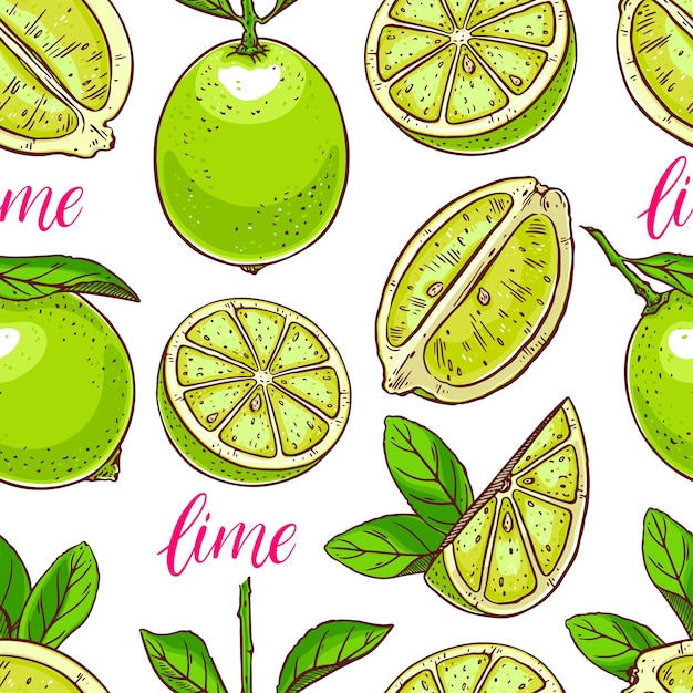 seamless background of cute limes. hand-drawn illustration