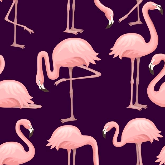Seamless pattern of cute cartoon peach pink flamingo. Funny flamingo collection. Cartoon animal character design. Flat vector illustration on dark background.