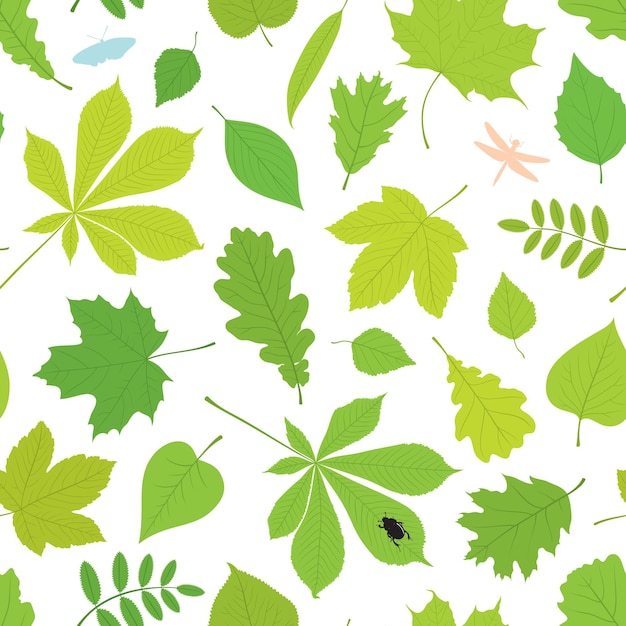 Seamless pattern of different tree leaves