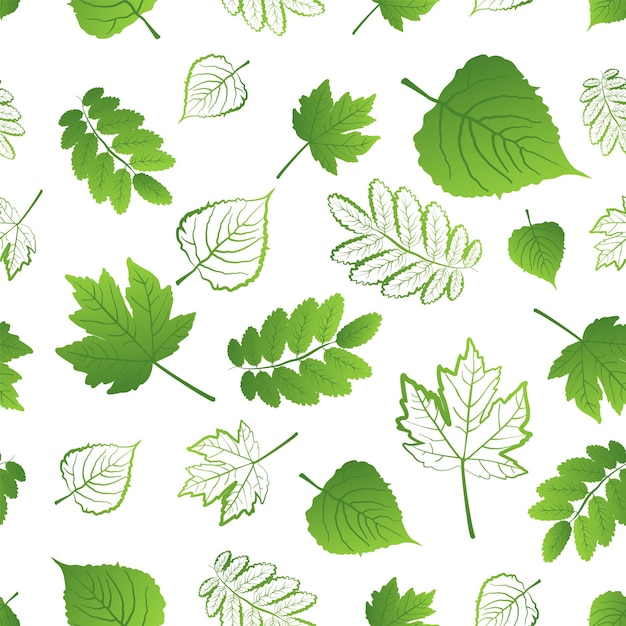 Seamless pattern of fresh different juicy green leaves on a white background