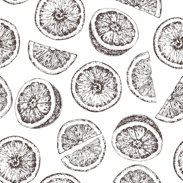 seamless pattern of isolated hand drawn oranges in sketch style