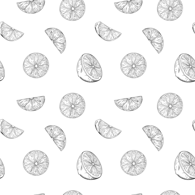 seamless pattern of lemon or lime slice vector illustration sketch hand drawn half tropical citrus