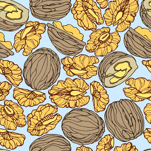 seamless pattern of walnuts and kernels. for menu design.
