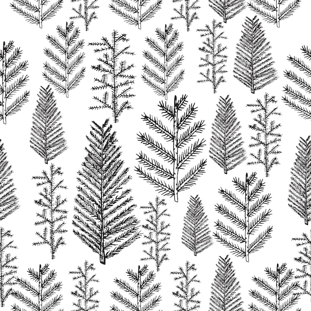Seamless pattern with christmas tree and pine fir branches