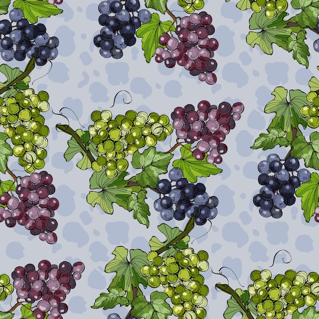 Seamless Pattern with grapes and pear Color sketch style hand drawn background Detailed illustration hand drawn Great for fabric and textile prints invitation packaging