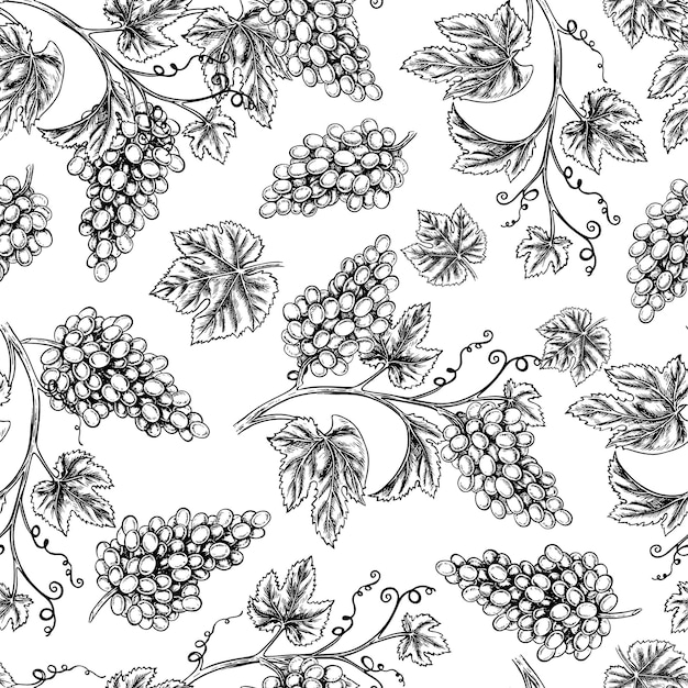 seamless pattern with the image of grapes and vines a graphic vector illustration drawn by hand