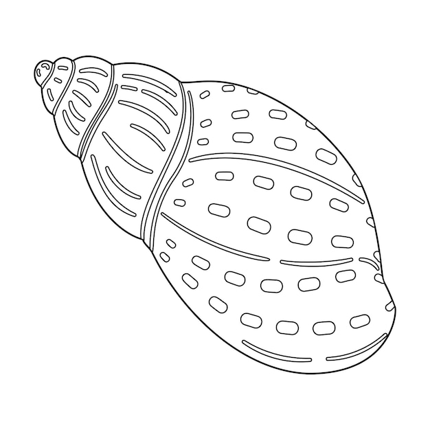 Seashell black and white outline art therapy coloring page