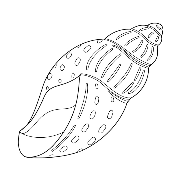 Seashell black and white outline art therapy coloring page