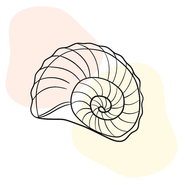 Seashell marine line art icons ocean and sea beach shells coral underwater hand drawn line