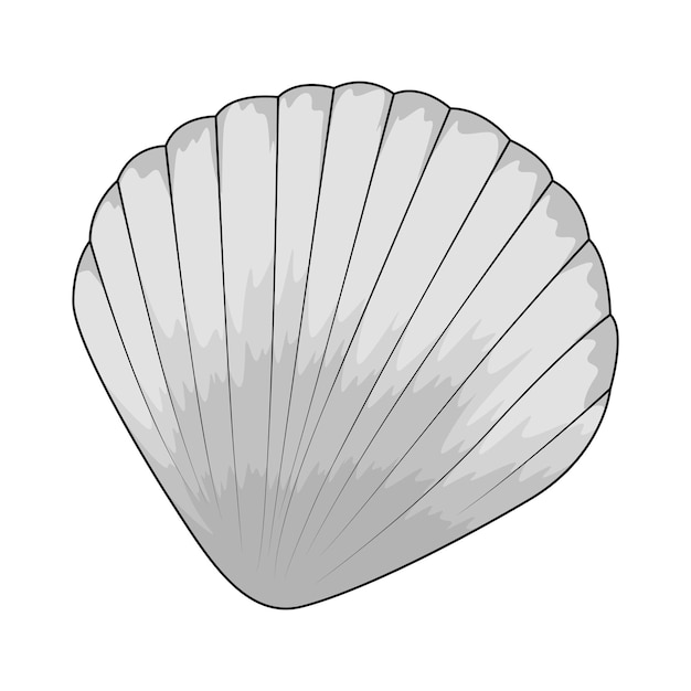 seashell