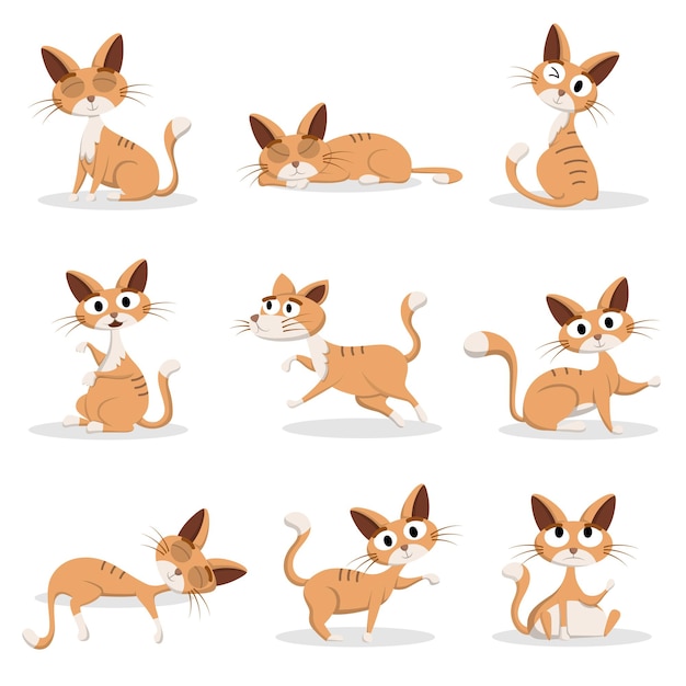 Set of animal with various  Activity cartoon character Graphic design for banner, sticker advertising travel in summer theme Vector illustration