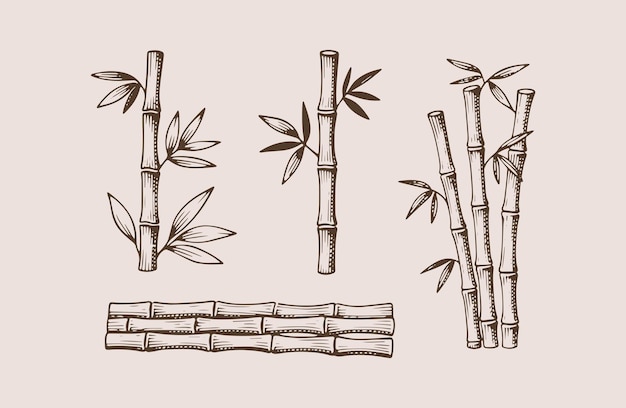 Set of bamboo engraving style logo design illustration