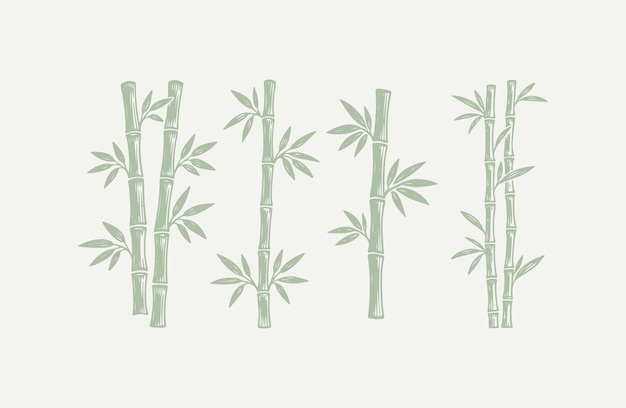 Set of bamboo engraving style logo design illustration
