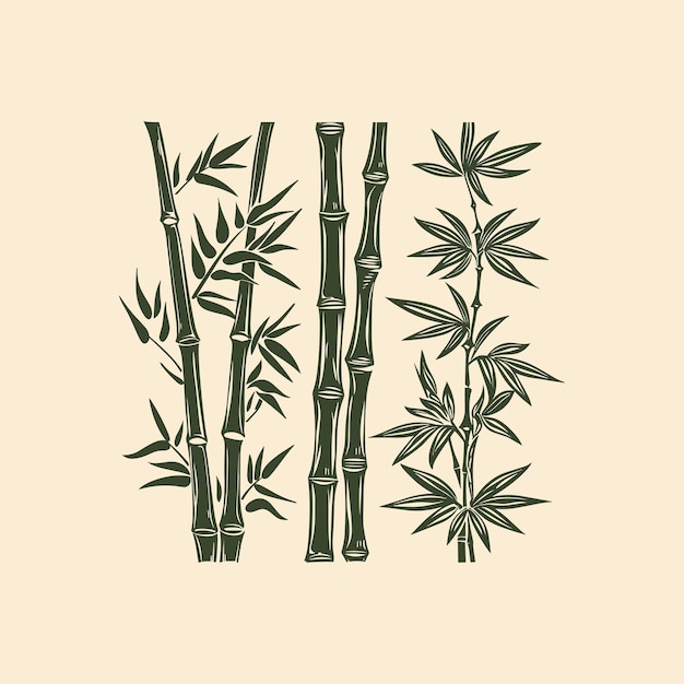 Set of bamboo with engraving style design vector illustration
