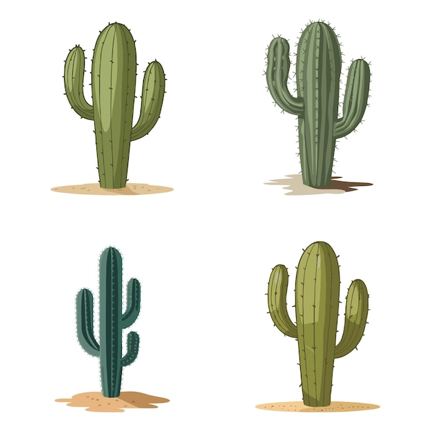 set of cactus vector illustrations with various shapes