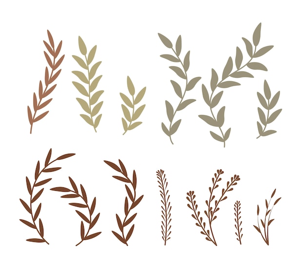 Set of cartoon twigs Colourful illustration hand drawing