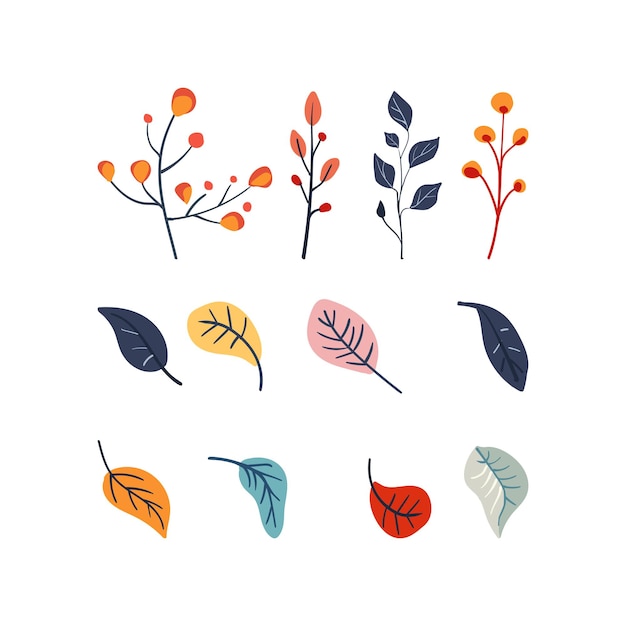 Set of folk plant colored branches and leaves autumn botany minimalistic tree flat vector