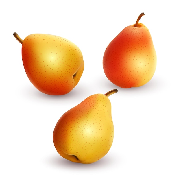 Set of fresh and yellow pears on a white