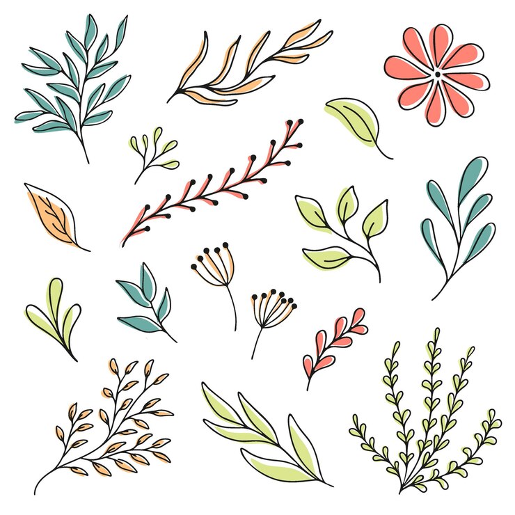 Set of hand drawn colored decorative natural elements leaves and twigs