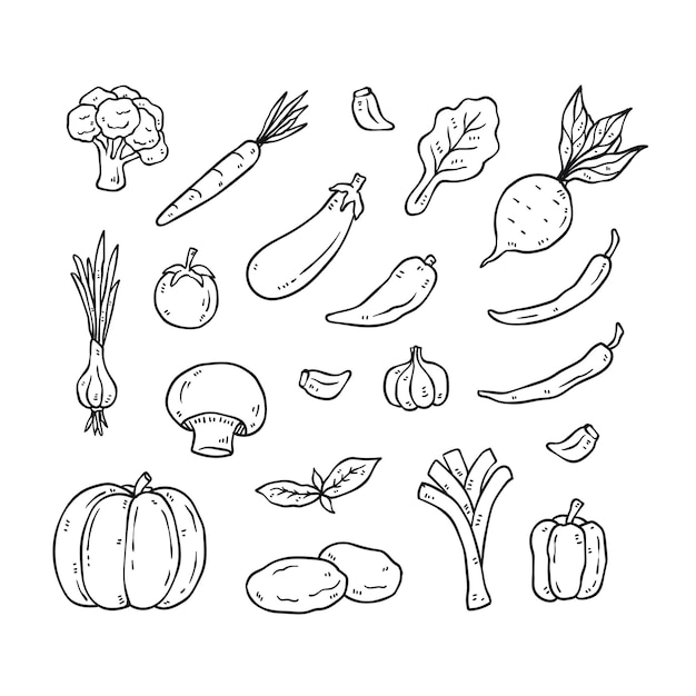 Set of hand drawn vegetable outline icons. healthy food doodles