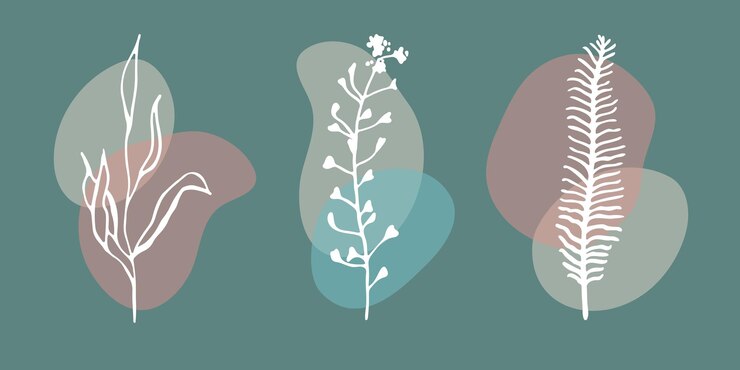 Vektör set of leaves grass trendy vector illustration minimalist beauty silhouette and color spots