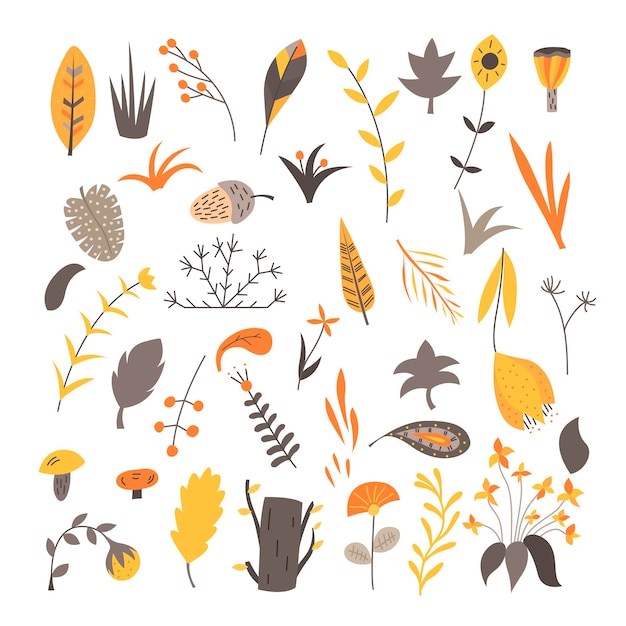 Set of natural elements in a Scandinavian style on white background. Flat vector illustration.