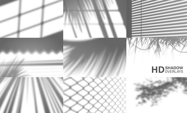 Set of organic transparent shadows for natural light effects