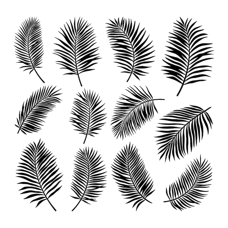 Vektor set of palm leaf silhouette vector