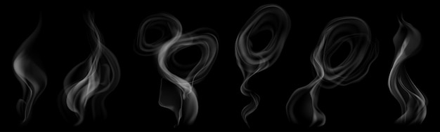 Set of several realistic transparent gray smokes or steam for use on dark background Transparency only in vector format