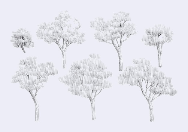 Set of trees element line drawing engraving symbol sign and icon for architecture landscape design