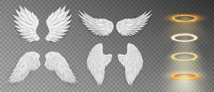 Vektör set of various realistic 3d white angel wings cartoon bird wings isolated on transparent background