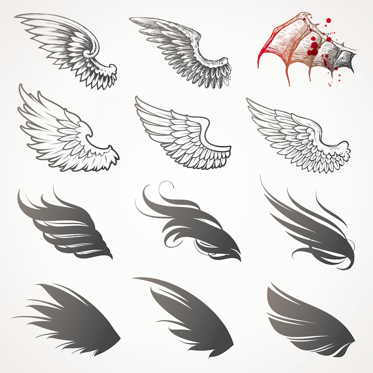Vektör   set of wings.