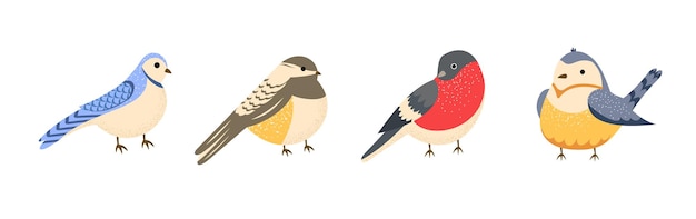 Set of winter and autumn birds Blue Jay Blackcapped Chickadee Bullfinch Blue tit Vector illustration