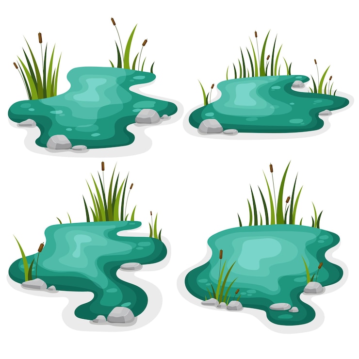 Vektor set swamp with reeds on a white background vector illustration