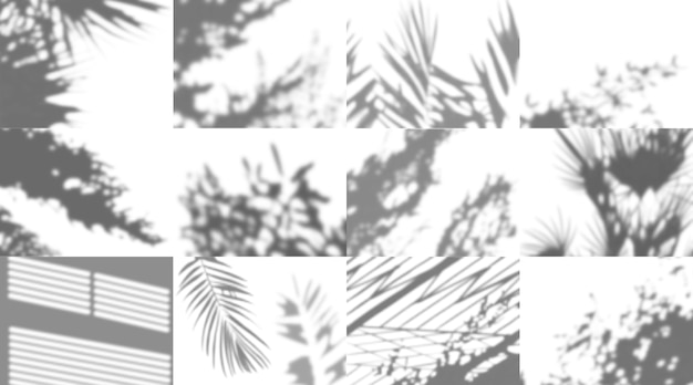Shadow overlay composition