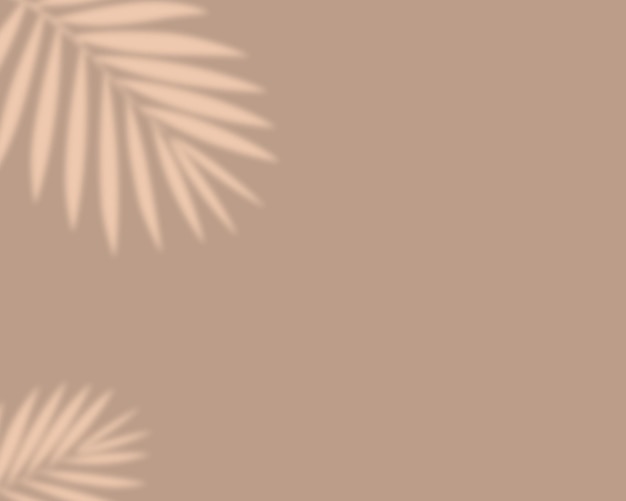 shadow overlay effect realistic soft light and shadows from leaves mockup of transparent leaf shadow