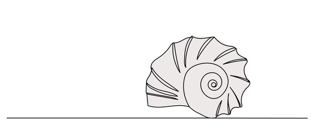 shell line drawing white background vector